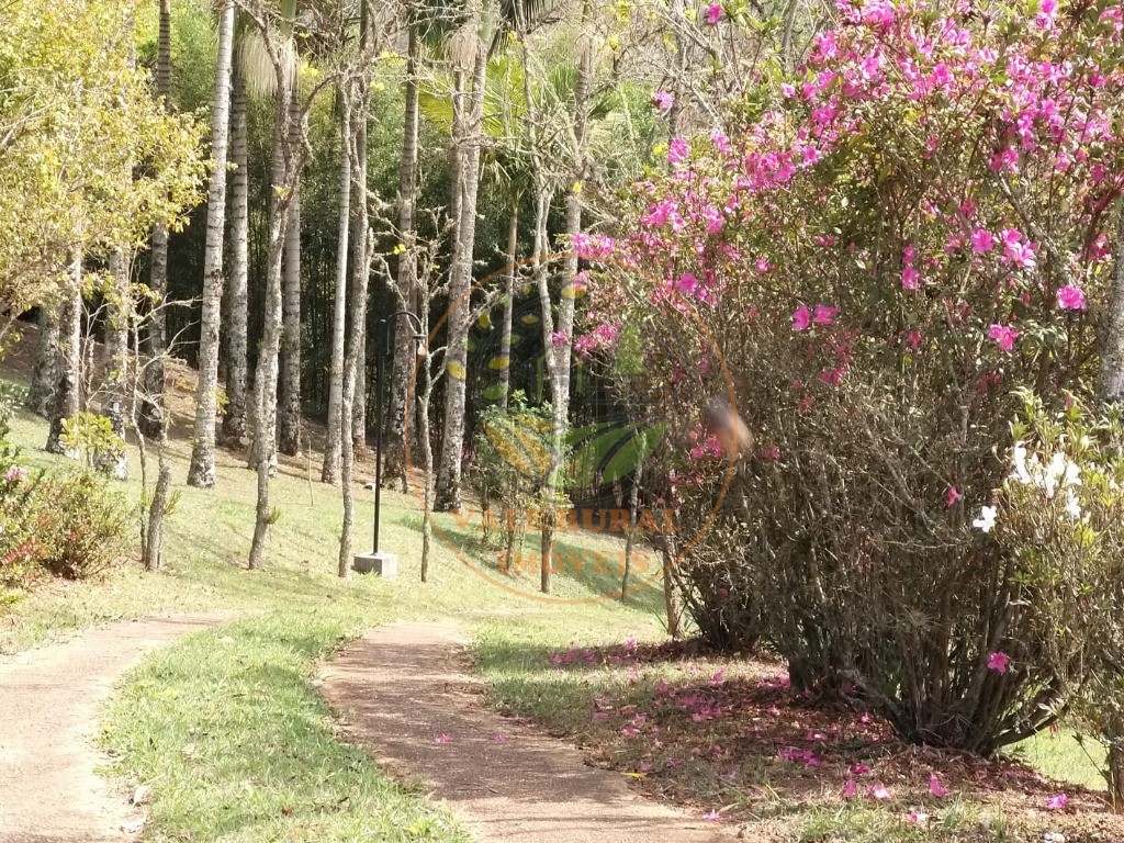 Chácara, 3 quartos, 10000 m² - Foto 35