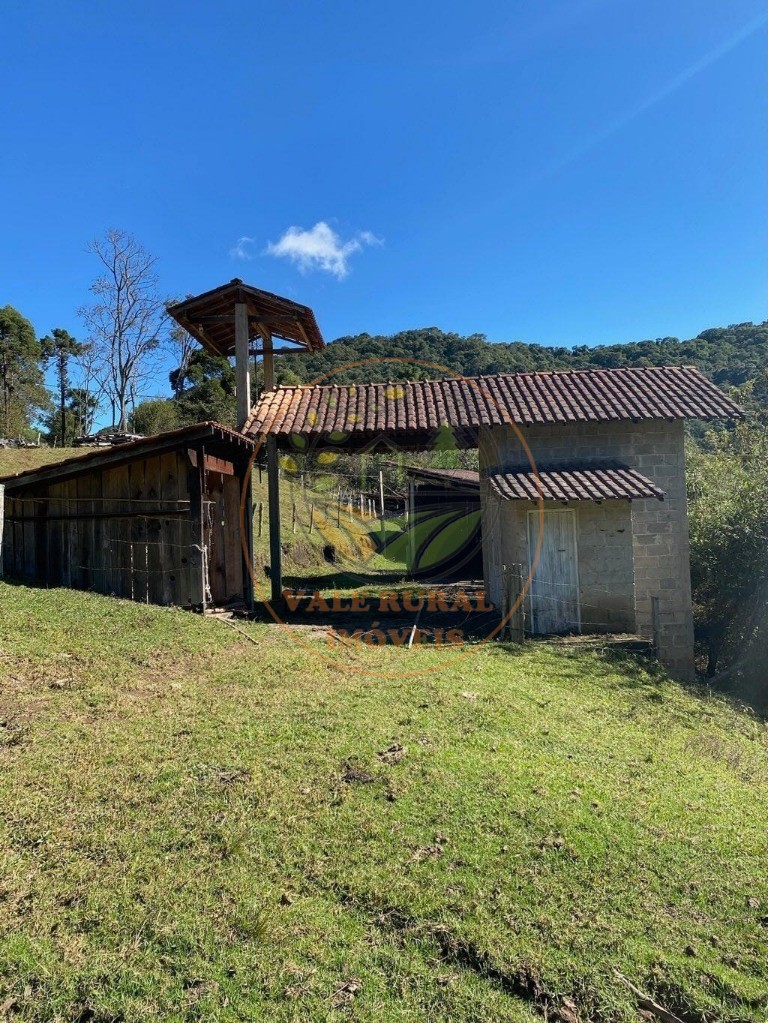 Fazenda, 5 hectares - Foto 9