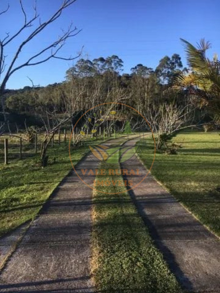 Sítio, 3 quartos, 7 hectares - Foto 6