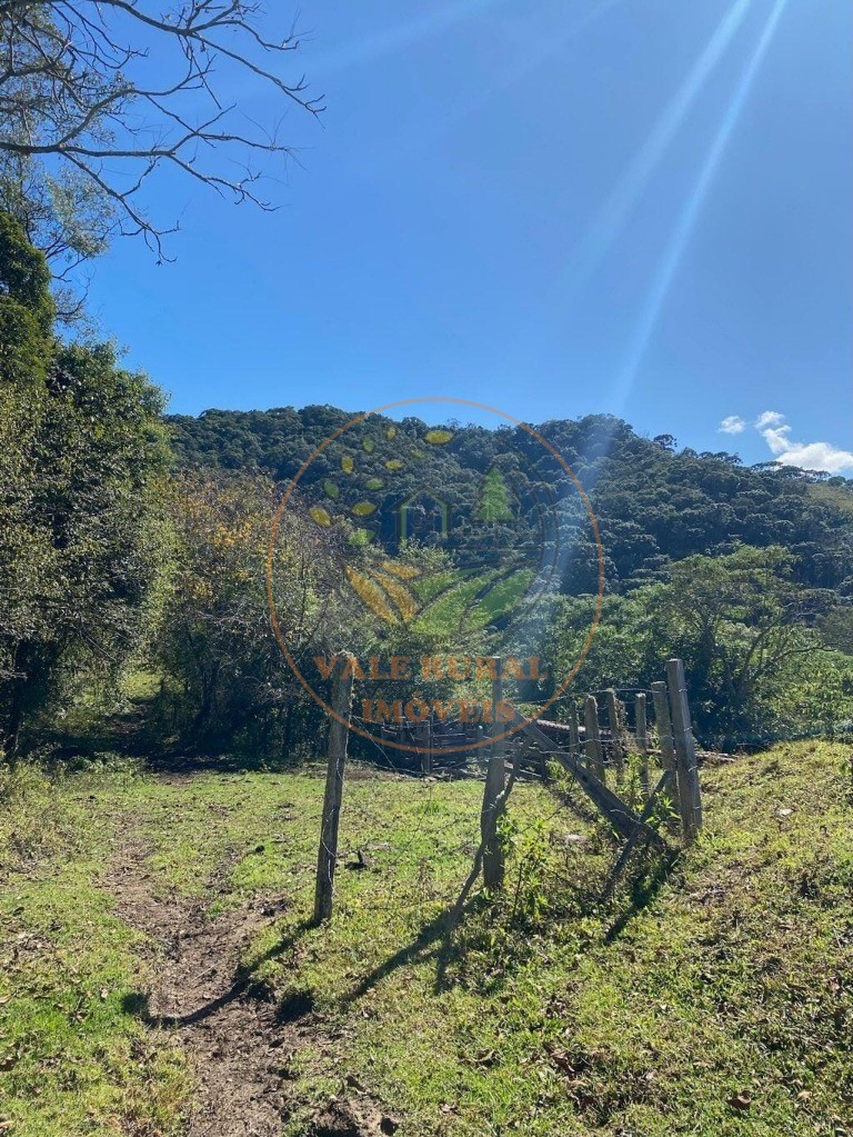 Fazenda, 5 hectares - Foto 15
