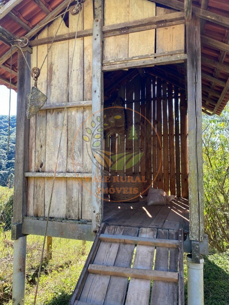 Fazenda, 5 hectares - Foto 12