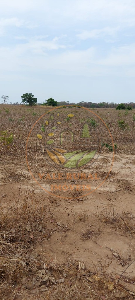 Fazenda, 1 hectares - Foto 13