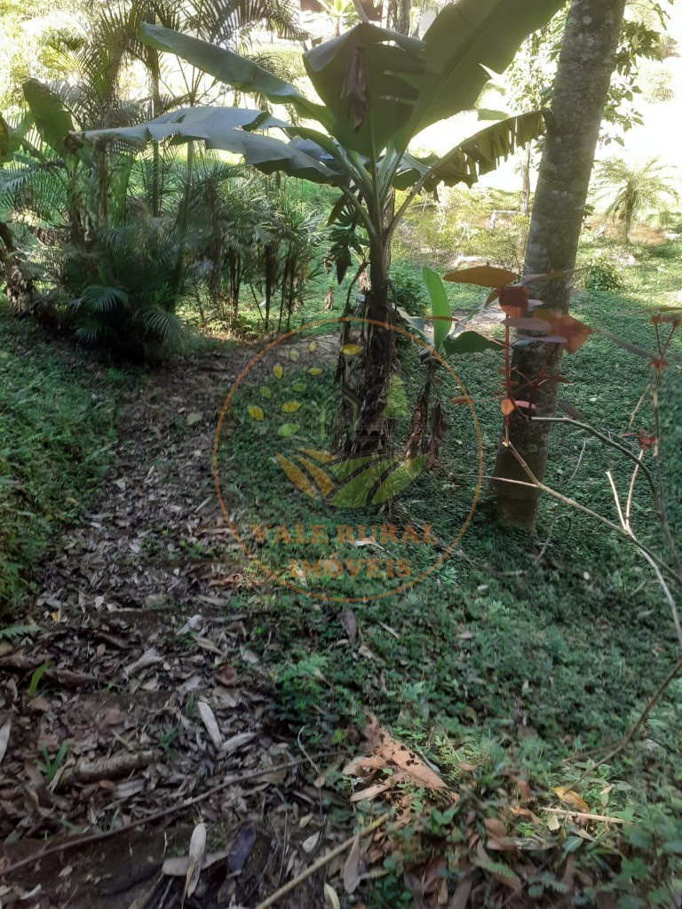 Sítio, 4 quartos, 6 hectares - Foto 49