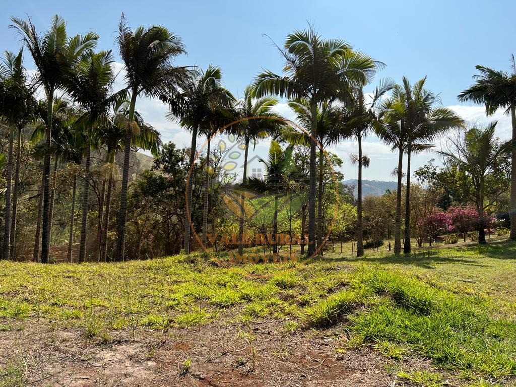 Chácara, 3 quartos, 10000 m² - Foto 16