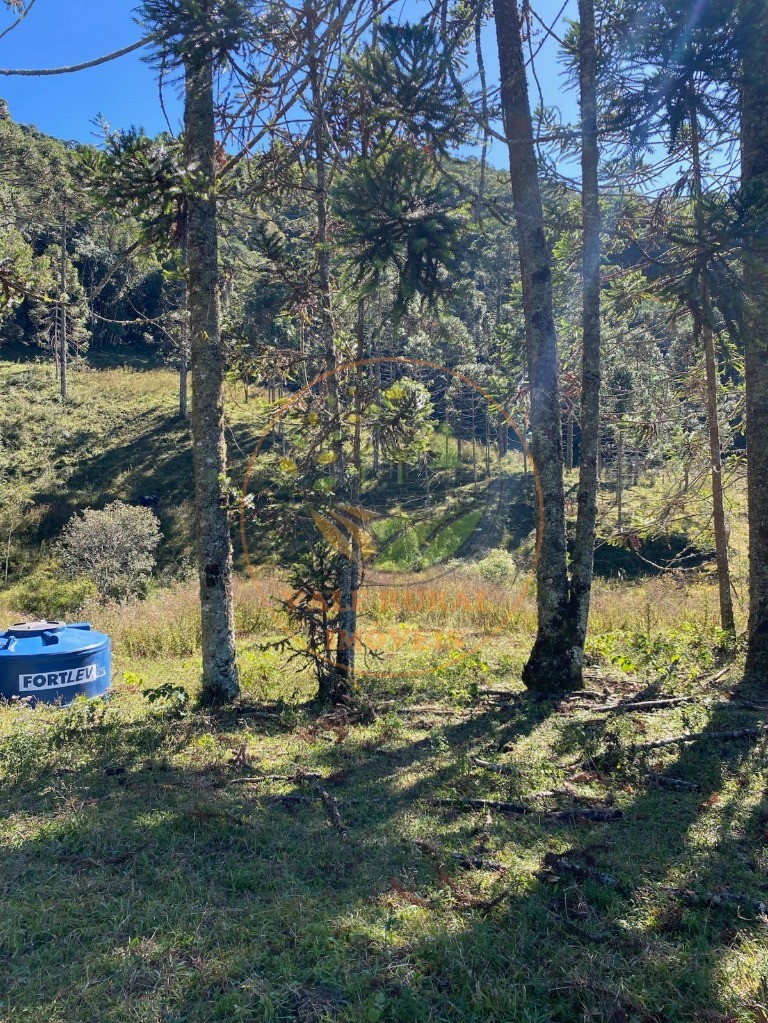 Fazenda, 5 hectares - Foto 19