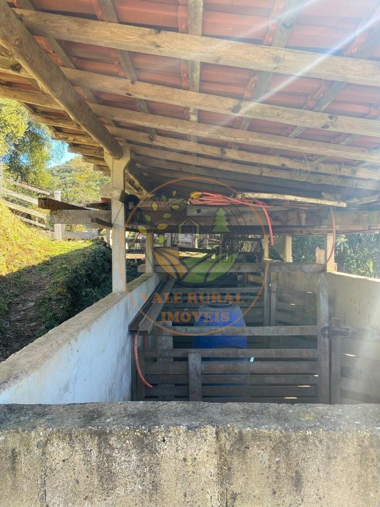 Fazenda, 5 hectares - Foto 13