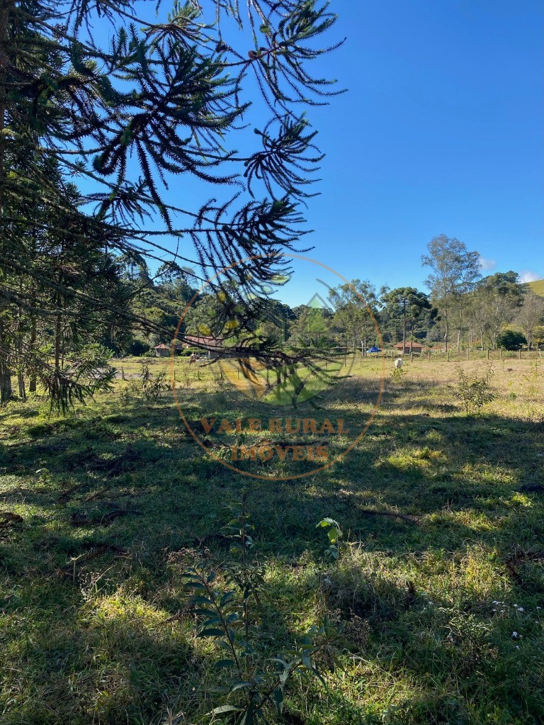 Fazenda, 5 hectares - Foto 20