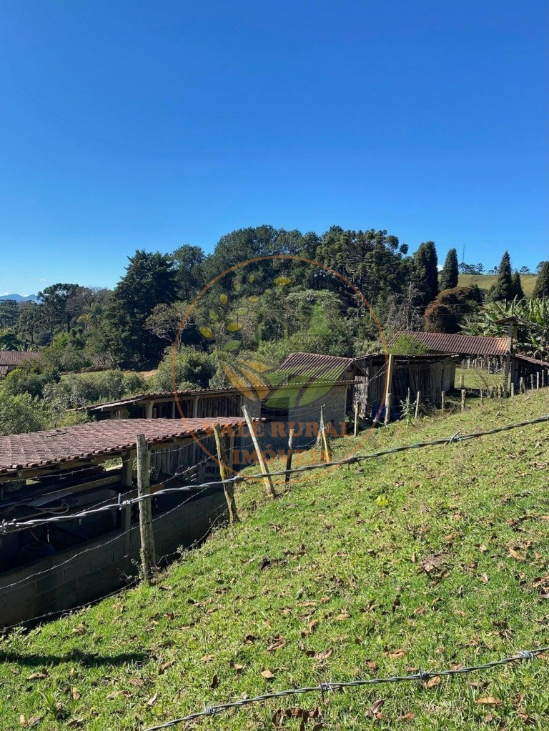 Fazenda, 5 hectares - Foto 16