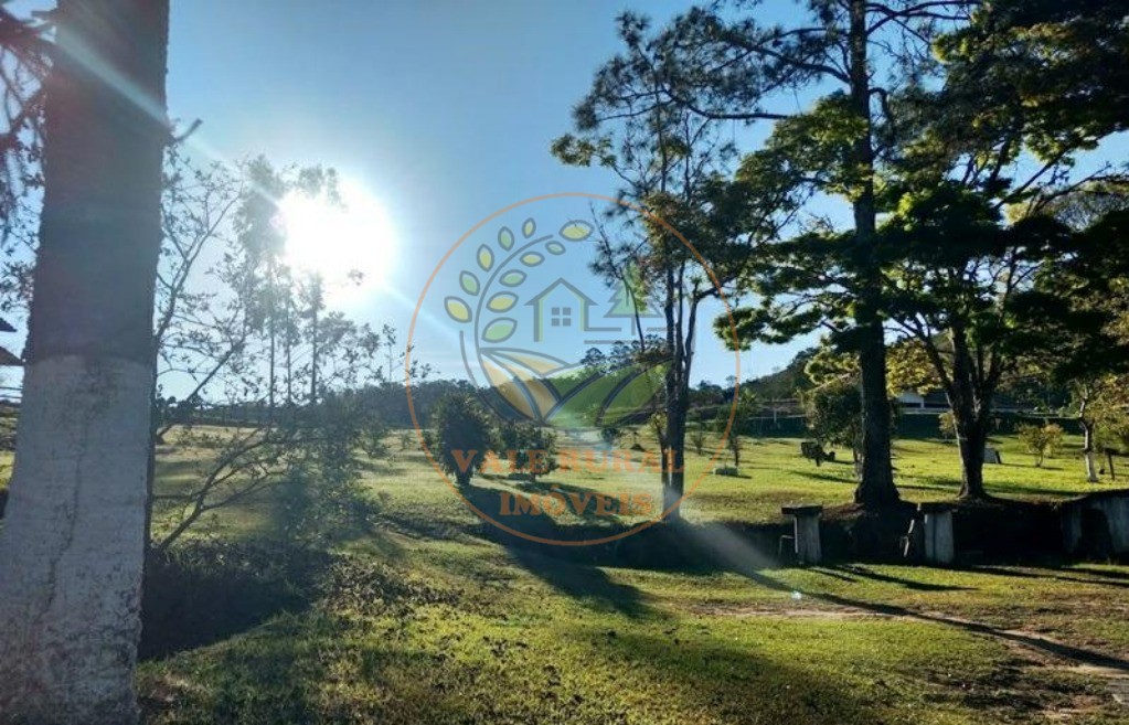 Sítio, 4 quartos, 7 hectares - Foto 4