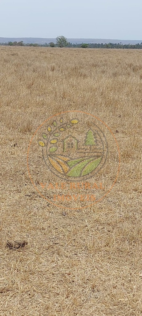 Fazenda, 1 hectares - Foto 9