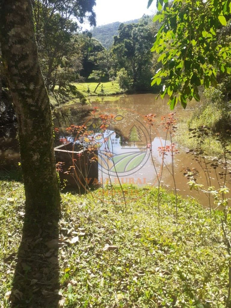 Sítio, 4 quartos, 6 hectares - Foto 40