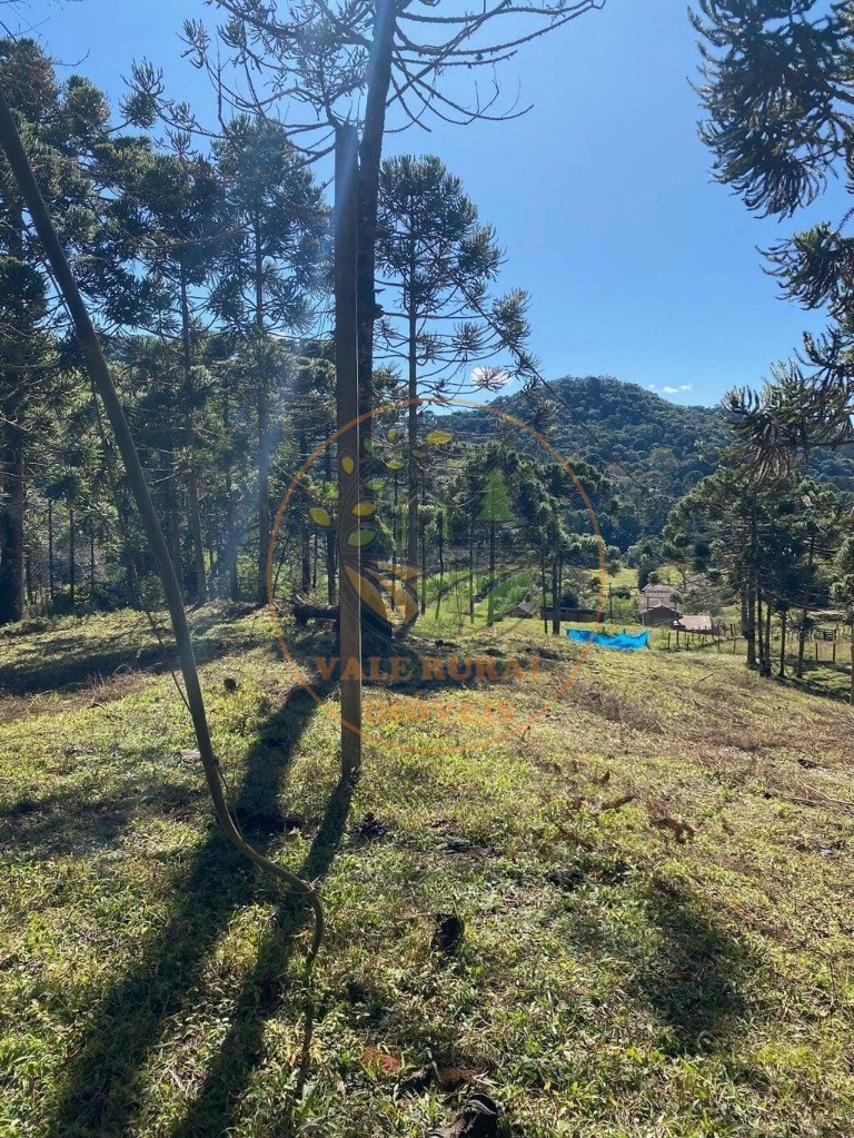 Fazenda, 5 hectares - Foto 3
