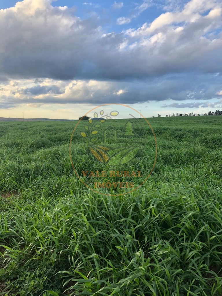 Fazenda, 1172 m² - Foto 10