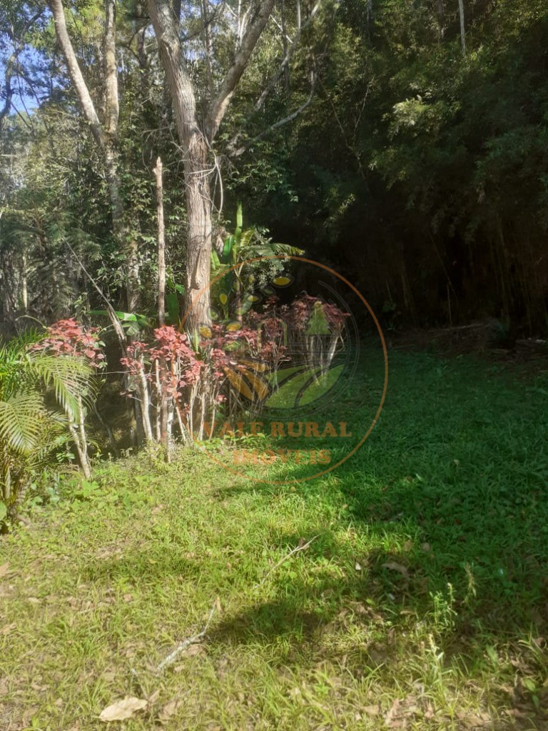 Sítio, 4 quartos, 6 hectares - Foto 42