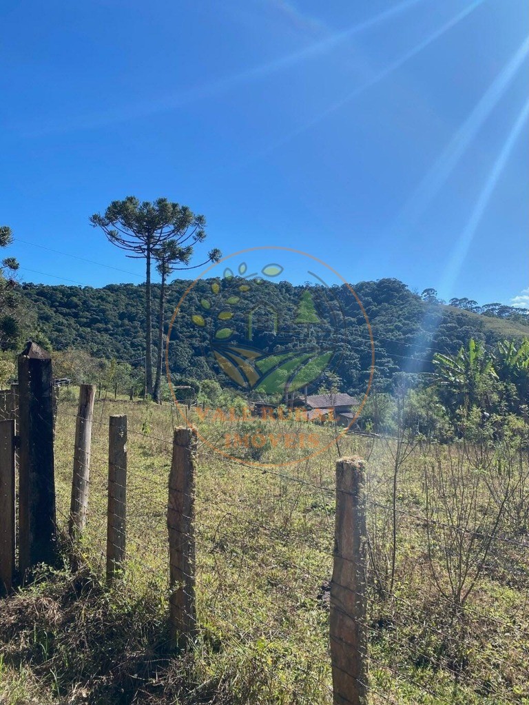 Fazenda, 5 hectares - Foto 4