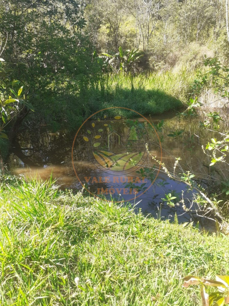 Sítio, 4 quartos, 6 hectares - Foto 45
