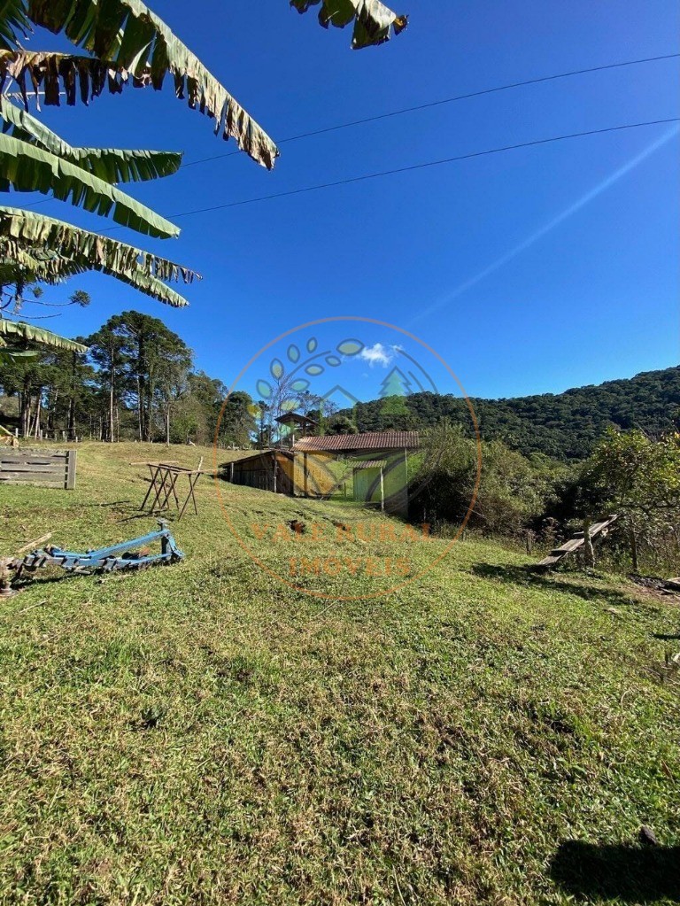Fazenda, 5 hectares - Foto 11