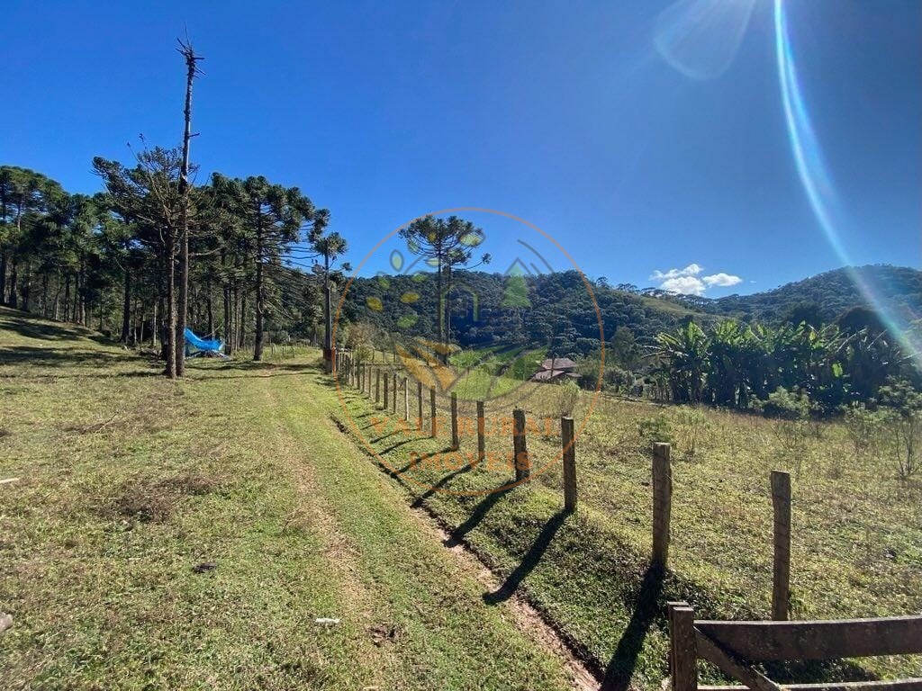 Fazenda, 5 hectares - Foto 7