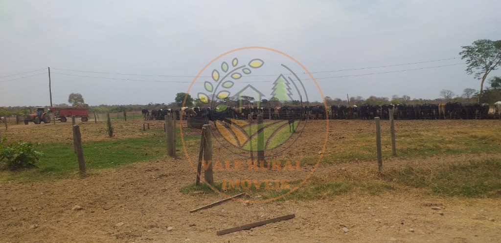 Fazenda, 1 hectares - Foto 3