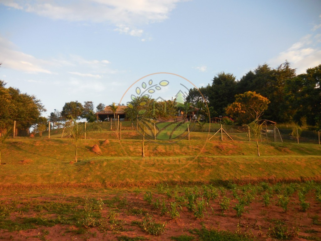 Chácara, 4 quartos, 6550 m² - Foto 13