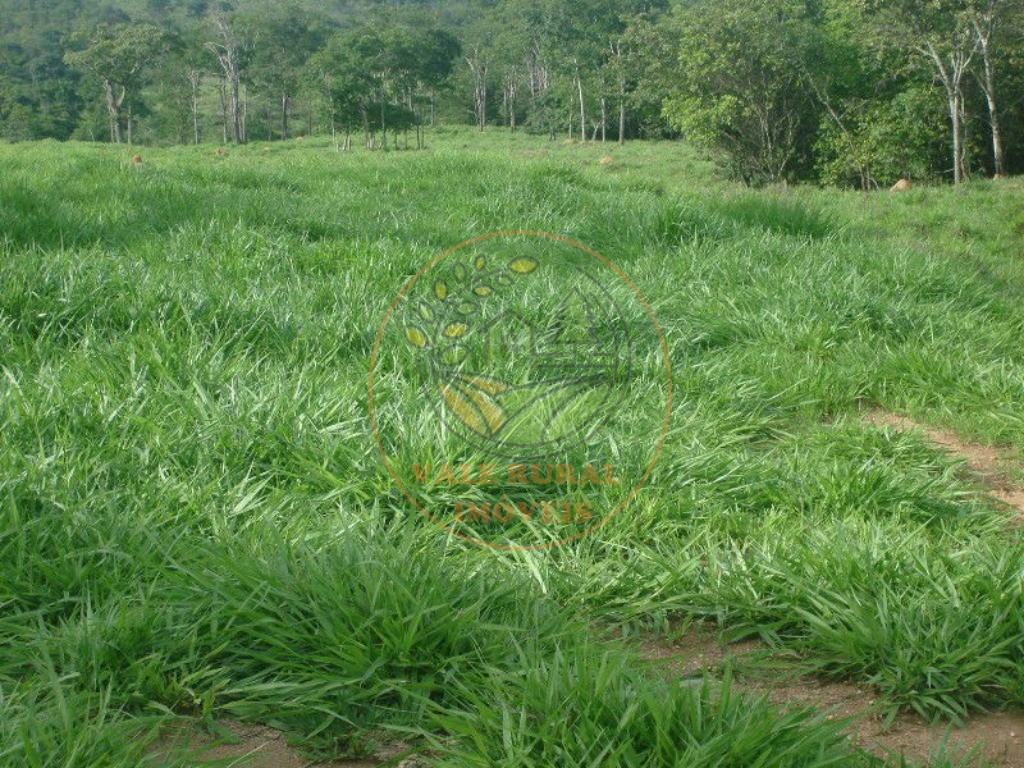 Fazenda, 607 m² - Foto 12
