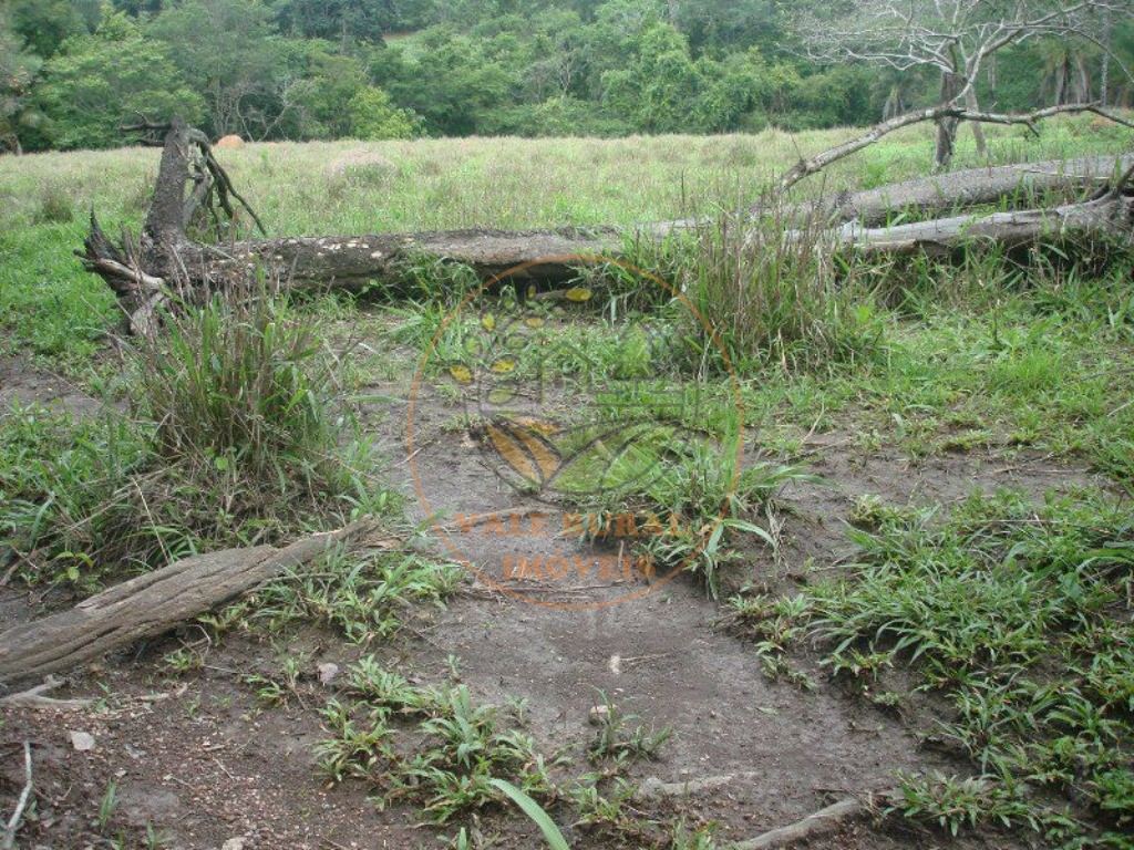 Fazenda, 607 m² - Foto 9