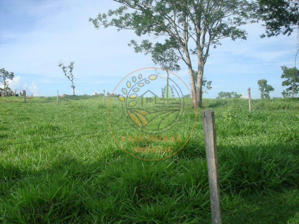 Fazenda, 607 m² - Foto 14