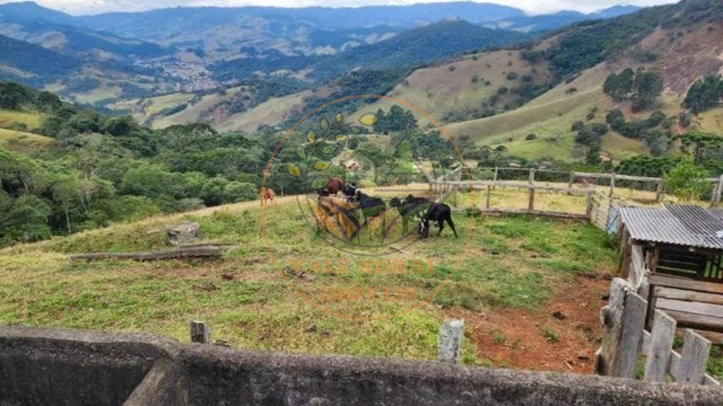 Sítio, 4 quartos, 8 hectares - Foto 4