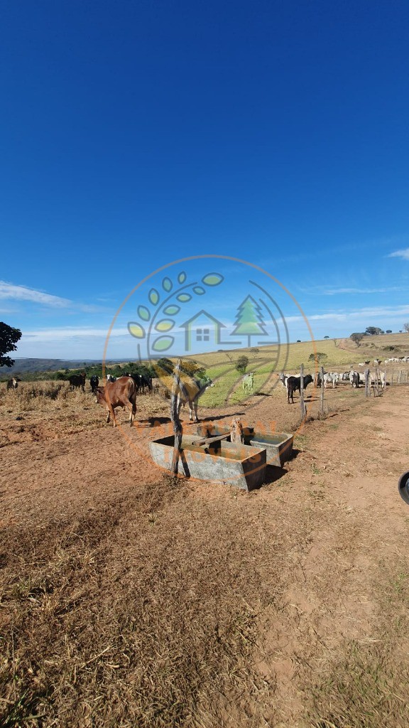 Fazenda, 773 m² - Foto 12