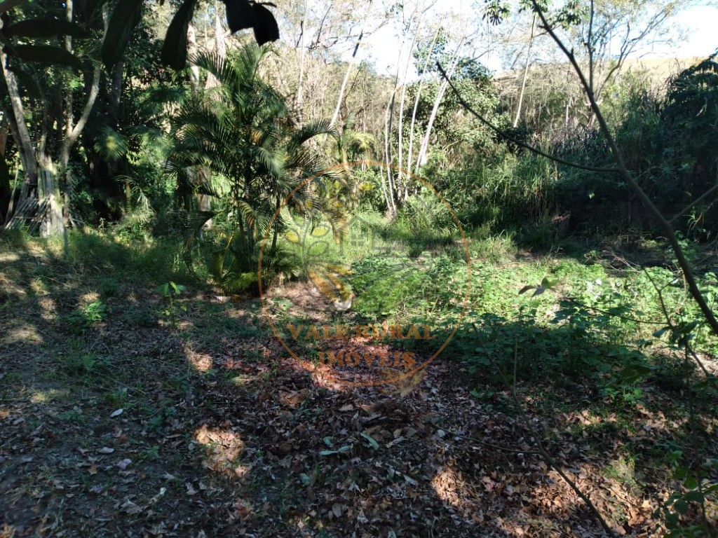 Chácara, 4 quartos, 2 hectares - Foto 18