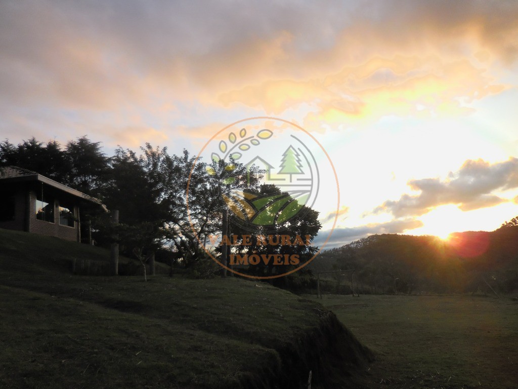 Chácara, 4 quartos, 6550 m² - Foto 11