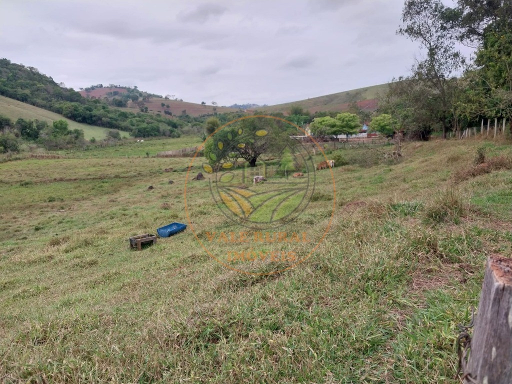 Sítio, 3 quartos, 2 hectares - Foto 30