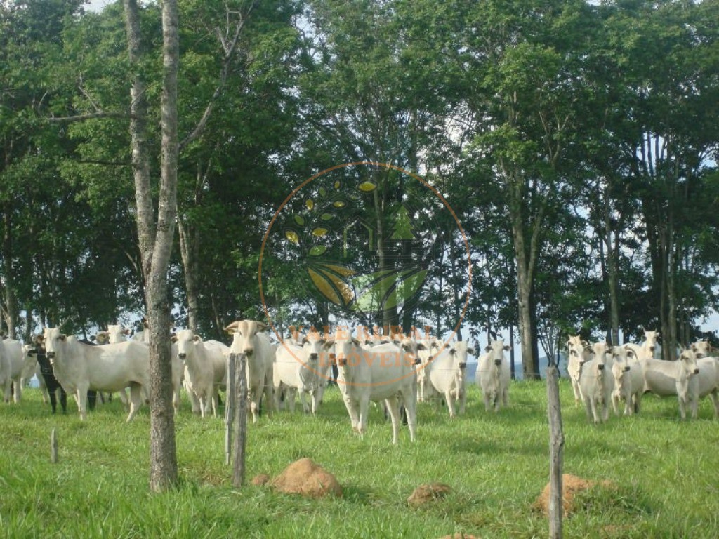 Fazenda, 607 m² - Foto 1