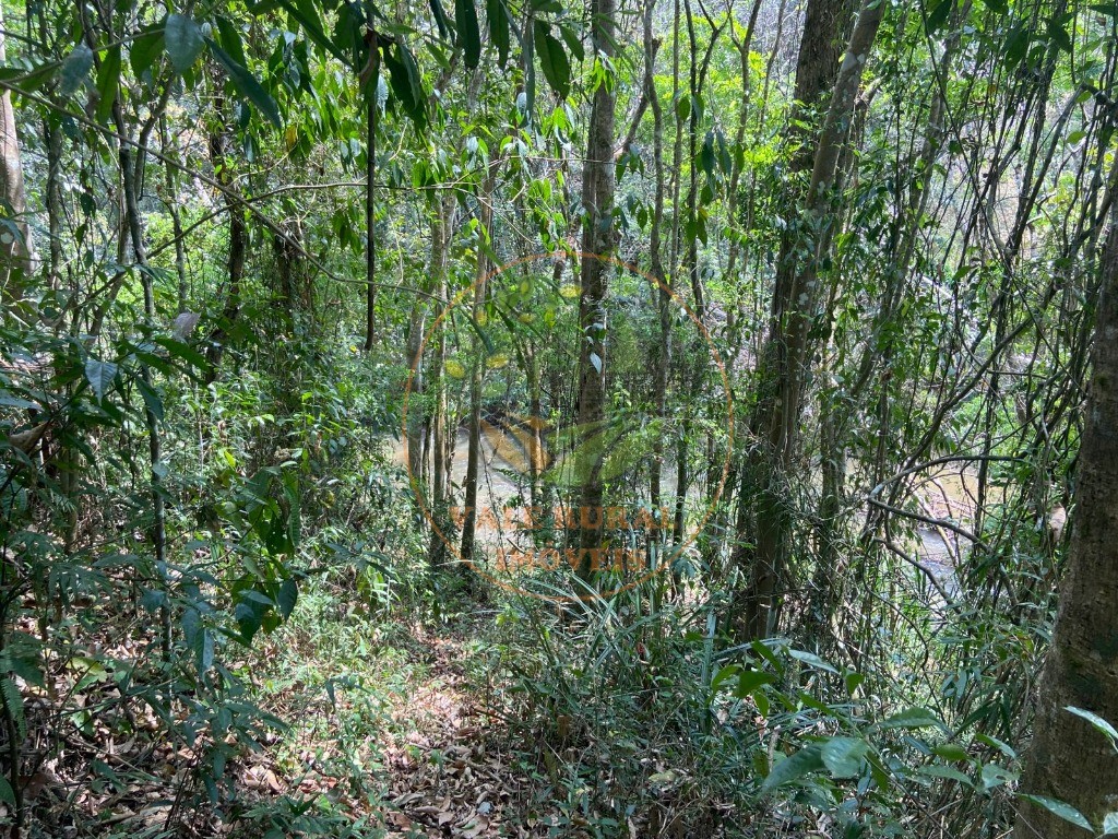 Chácara, 3 quartos, 1 hectares - Foto 6