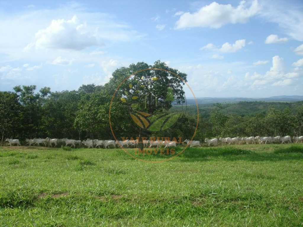 Fazenda, 607 m² - Foto 6