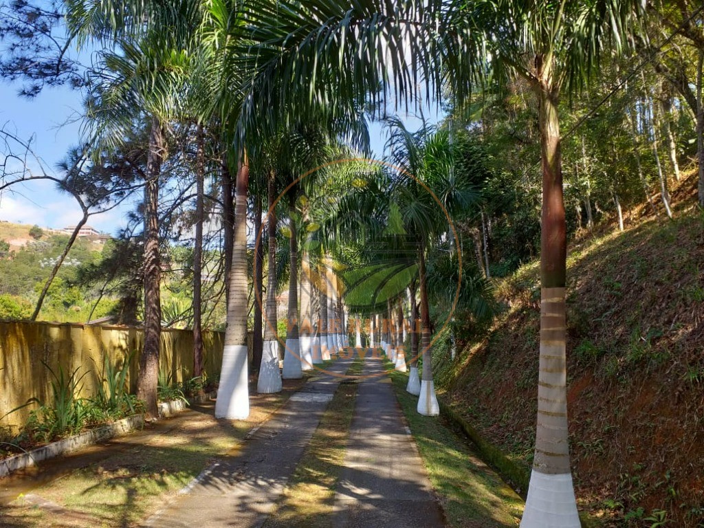 Chácara, 3 quartos, 5500 m² - Foto 7