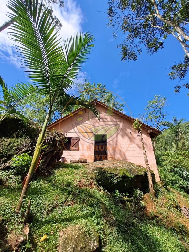 Chácara, 3 quartos, 2400 m² - Foto 18