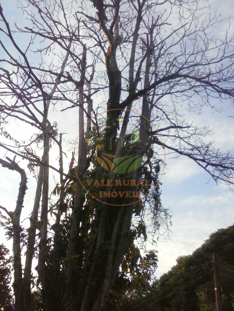 Chácara, 3 quartos - Foto 11