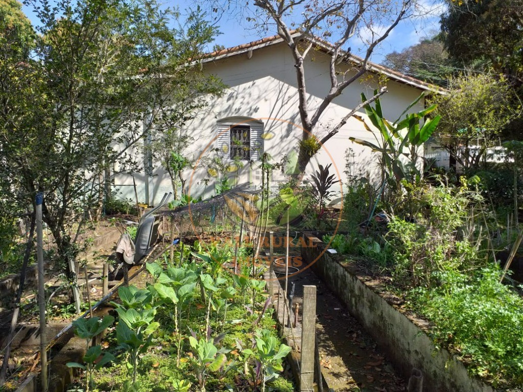 Chácara, 3 quartos, 5500 m² - Foto 19
