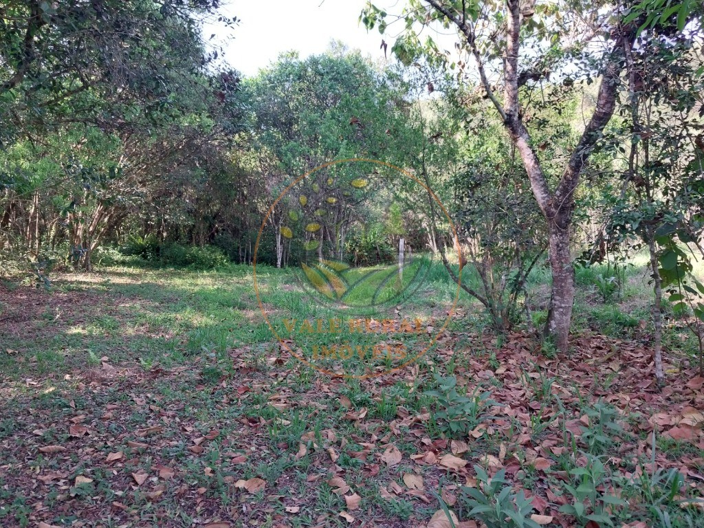 Sítio, 2 quartos, 3 hectares - Foto 16