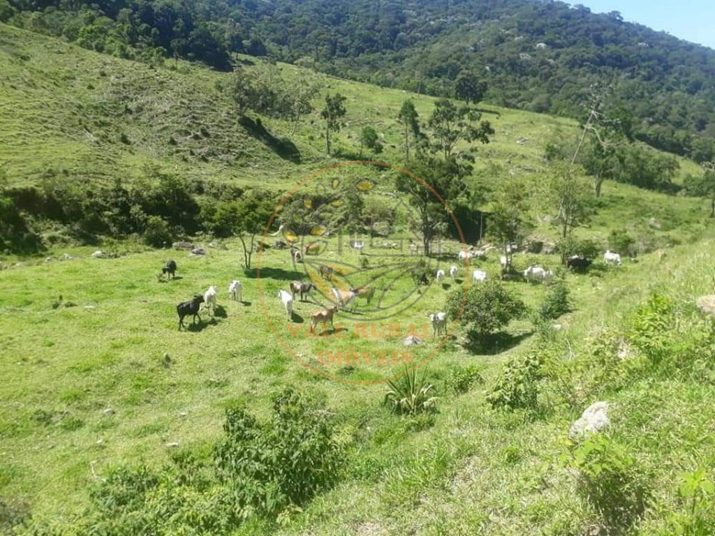 Fazenda, 72 m² - Foto 5