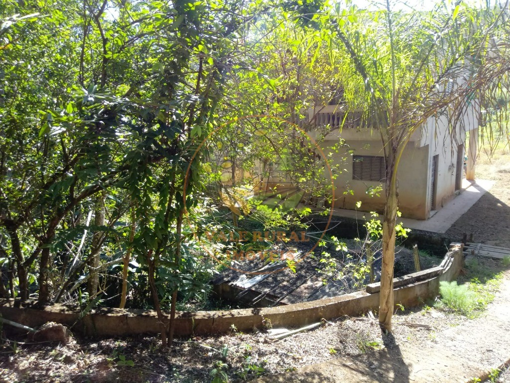 Chácara, 5 quartos, 2000 m² - Foto 1