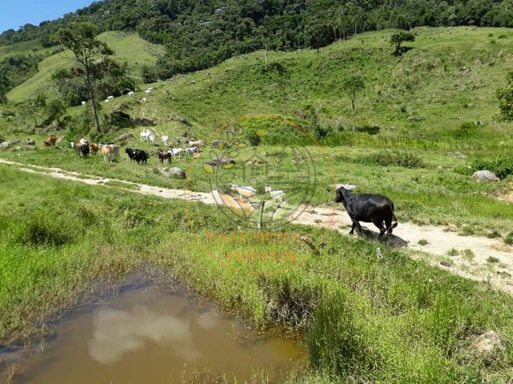 Fazenda, 72 m² - Foto 1