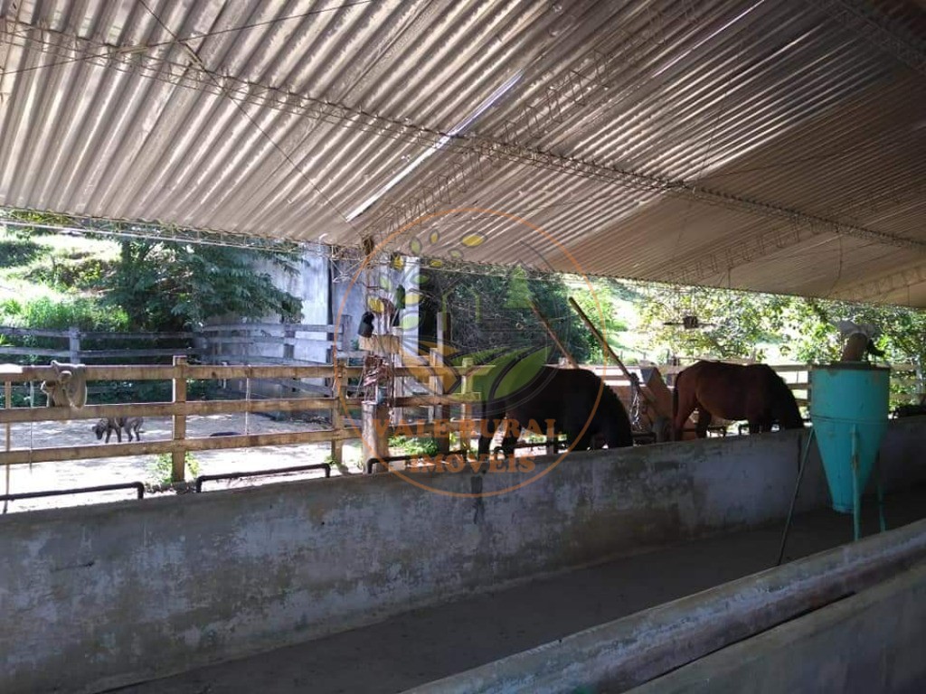 Fazenda, 60 m² - Foto 9