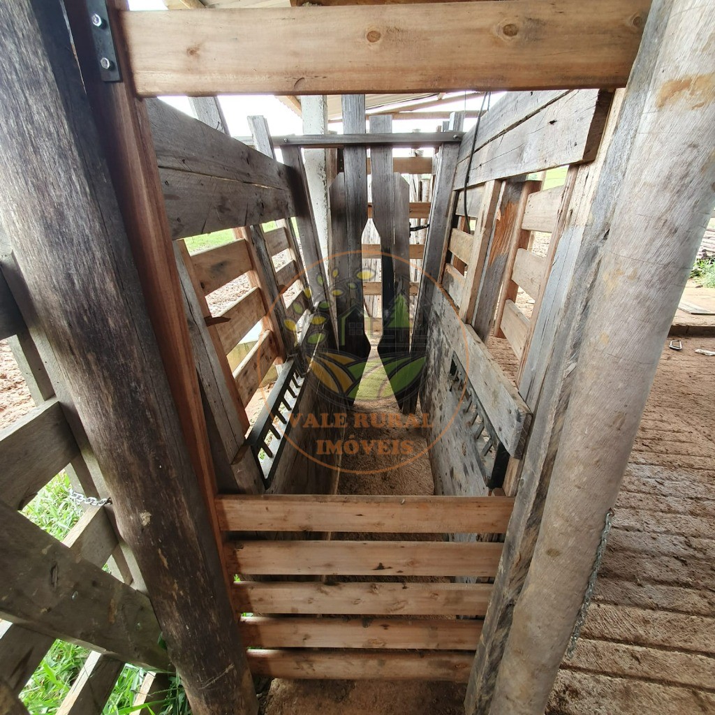 Fazenda - Foto 8