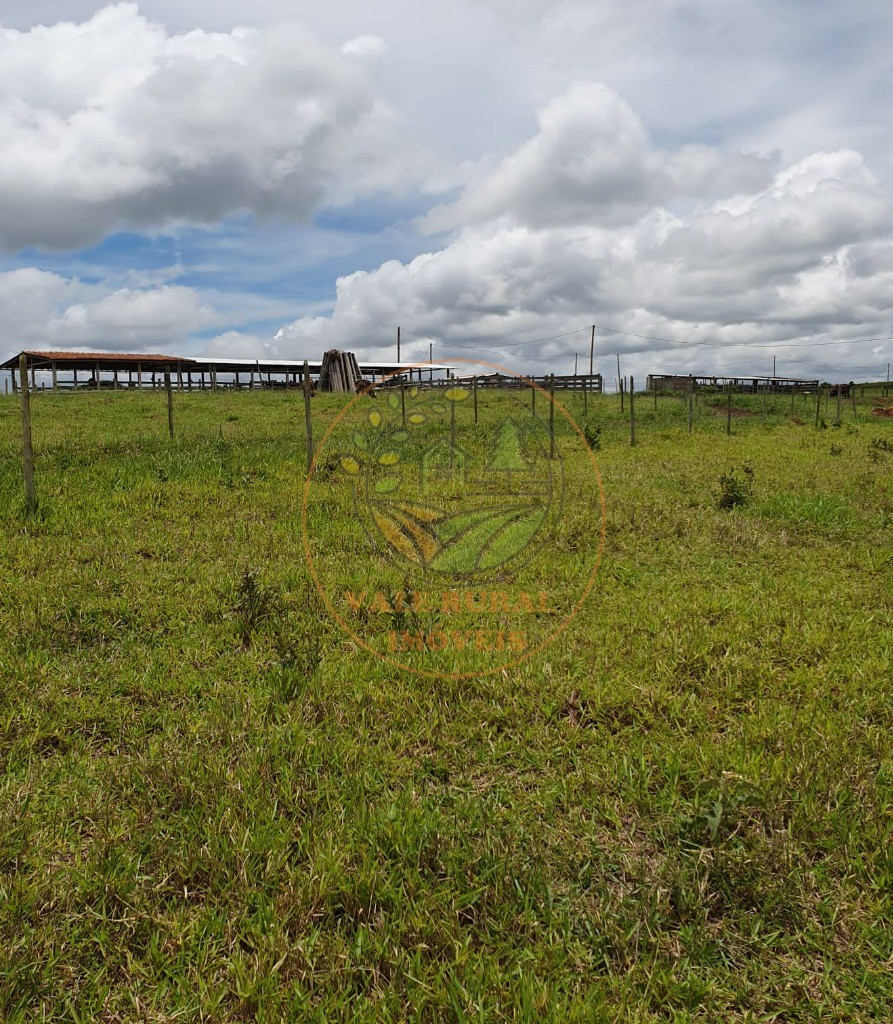 Fazenda - Foto 4