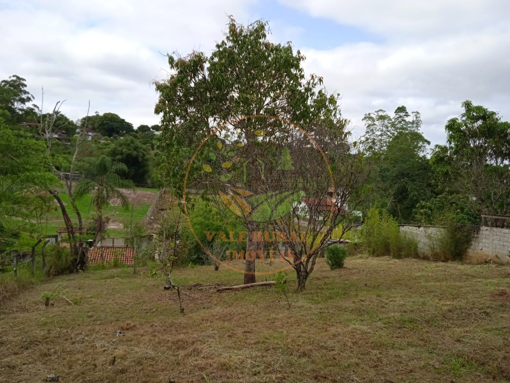 Chácara, 2 quartos, 1100 m² - Foto 10