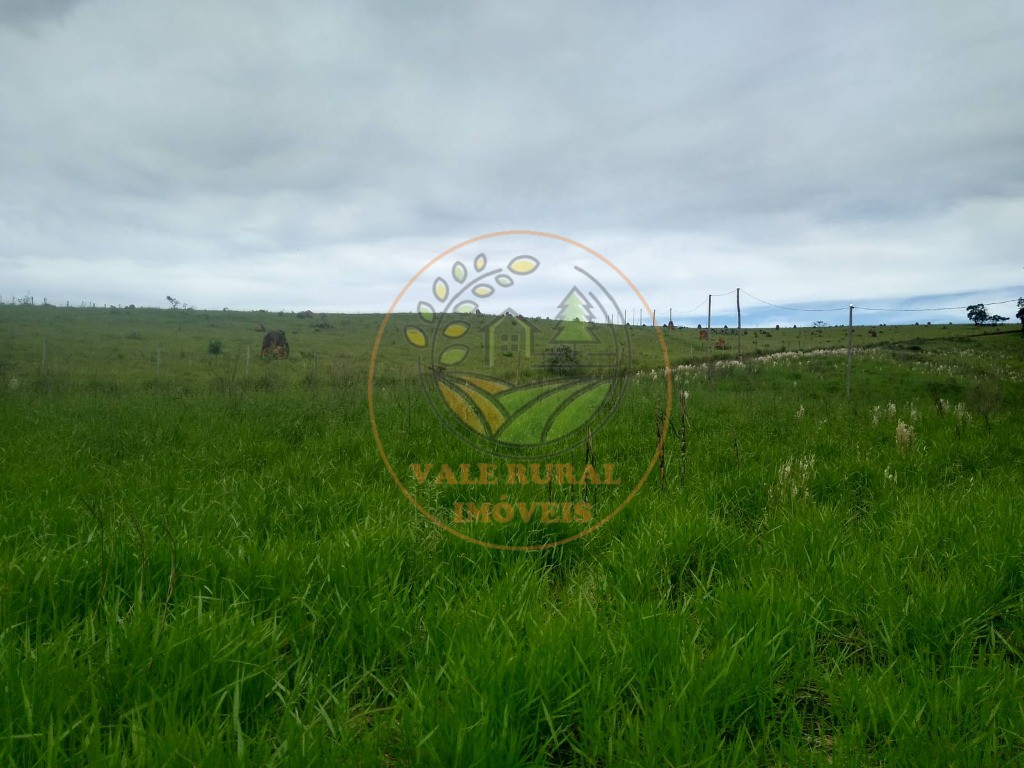 Fazenda - Foto 17