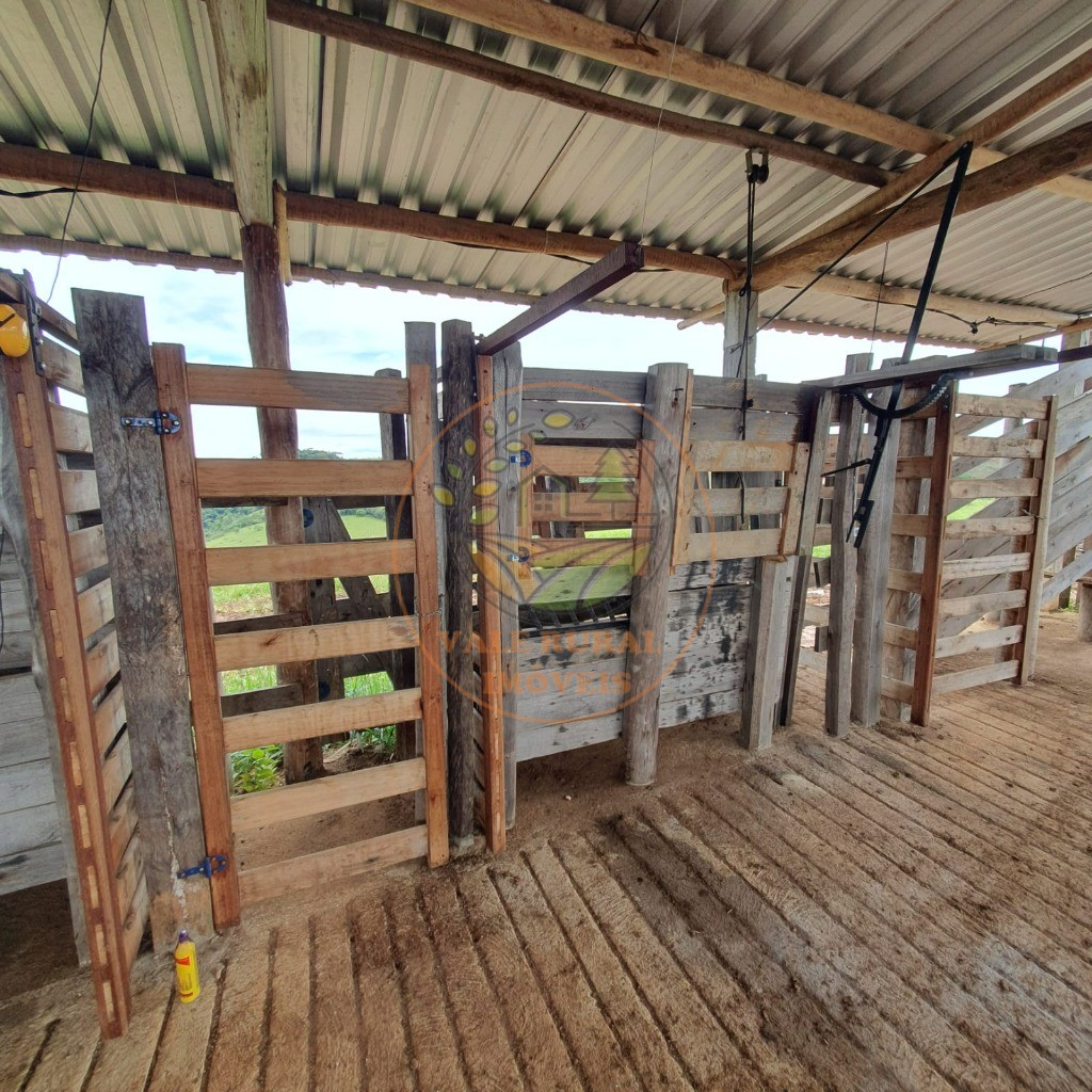 Fazenda - Foto 10