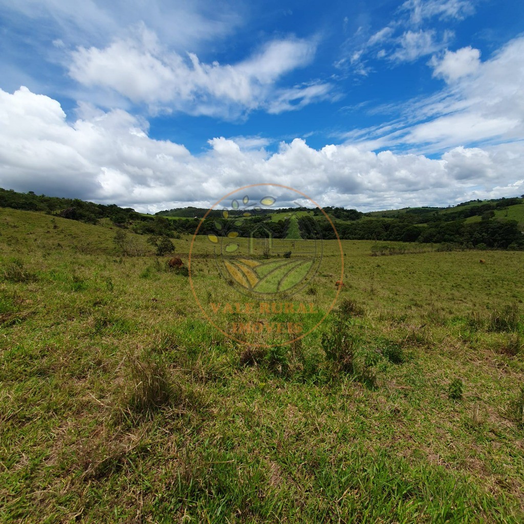 Fazenda - Foto 14